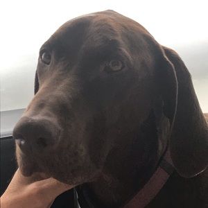 Meet your Posher, Grace